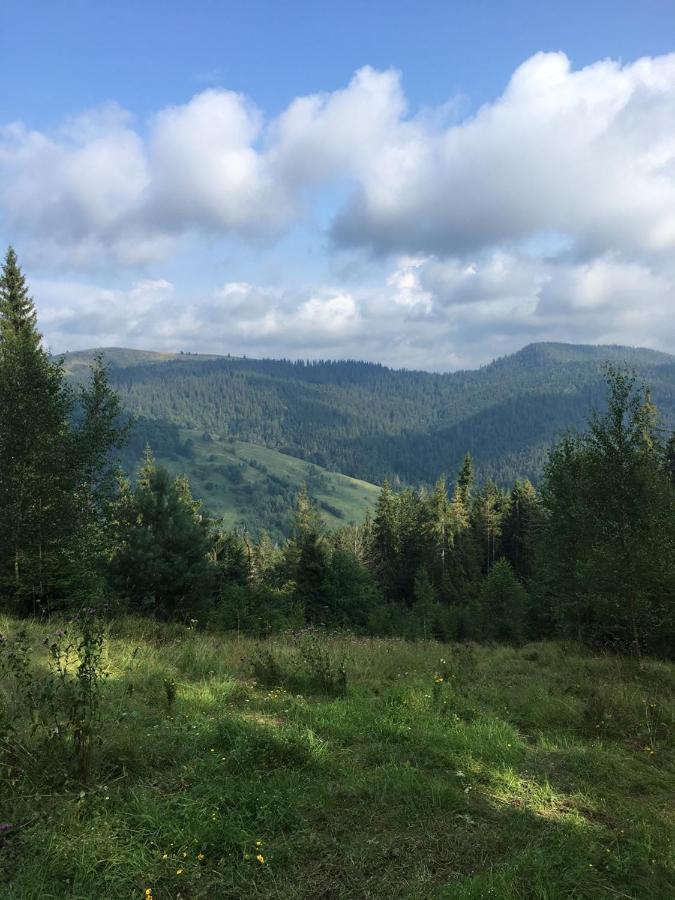 Котедж "У Бойка" Mykulychyn Exterior foto